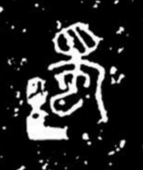 夏字从古至今演变,夏字的演变过程及来历