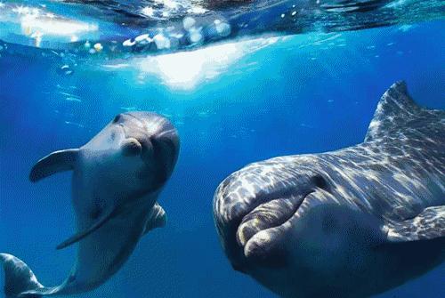 除了迪士尼乐园还有哪些豪华乐园,值得去的五个主题乐园