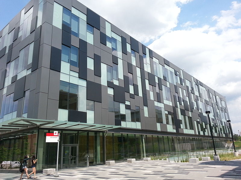 约克大学商学院怎么样,约克大学商科排名