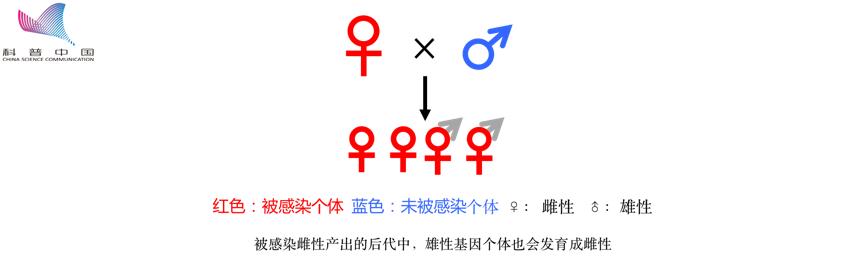 防蚊高手,夏季防蚊高手