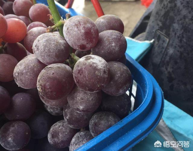 葡萄灰尘处理方法和注意事项,葡萄表面有灰怎么补救