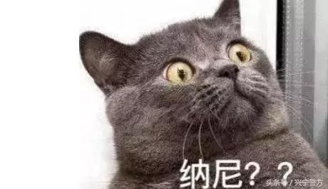 “非仑”“酮（tóng）泮（pàn）”“妥”？先认识它们，再掏钱包不迟！