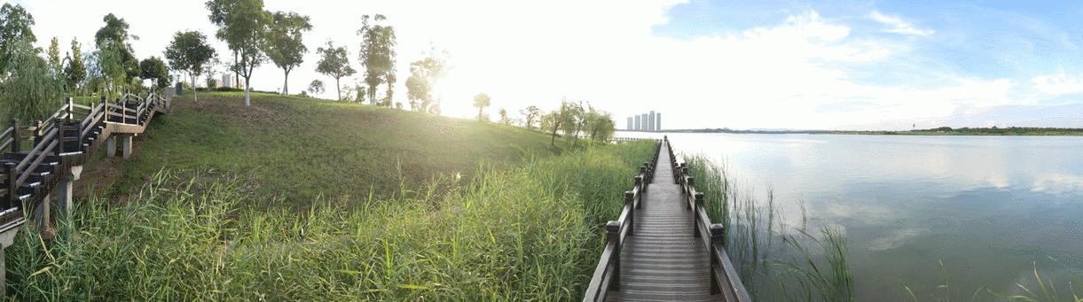 绮惧伐涓夊崈宸﹀彸,绮惧伐3x62