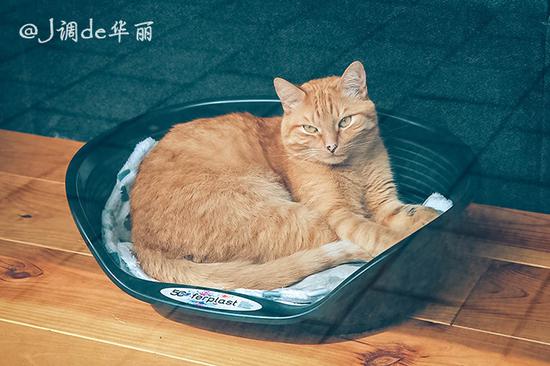 欧洲行荷兰鹿特丹,去荷兰看梵高