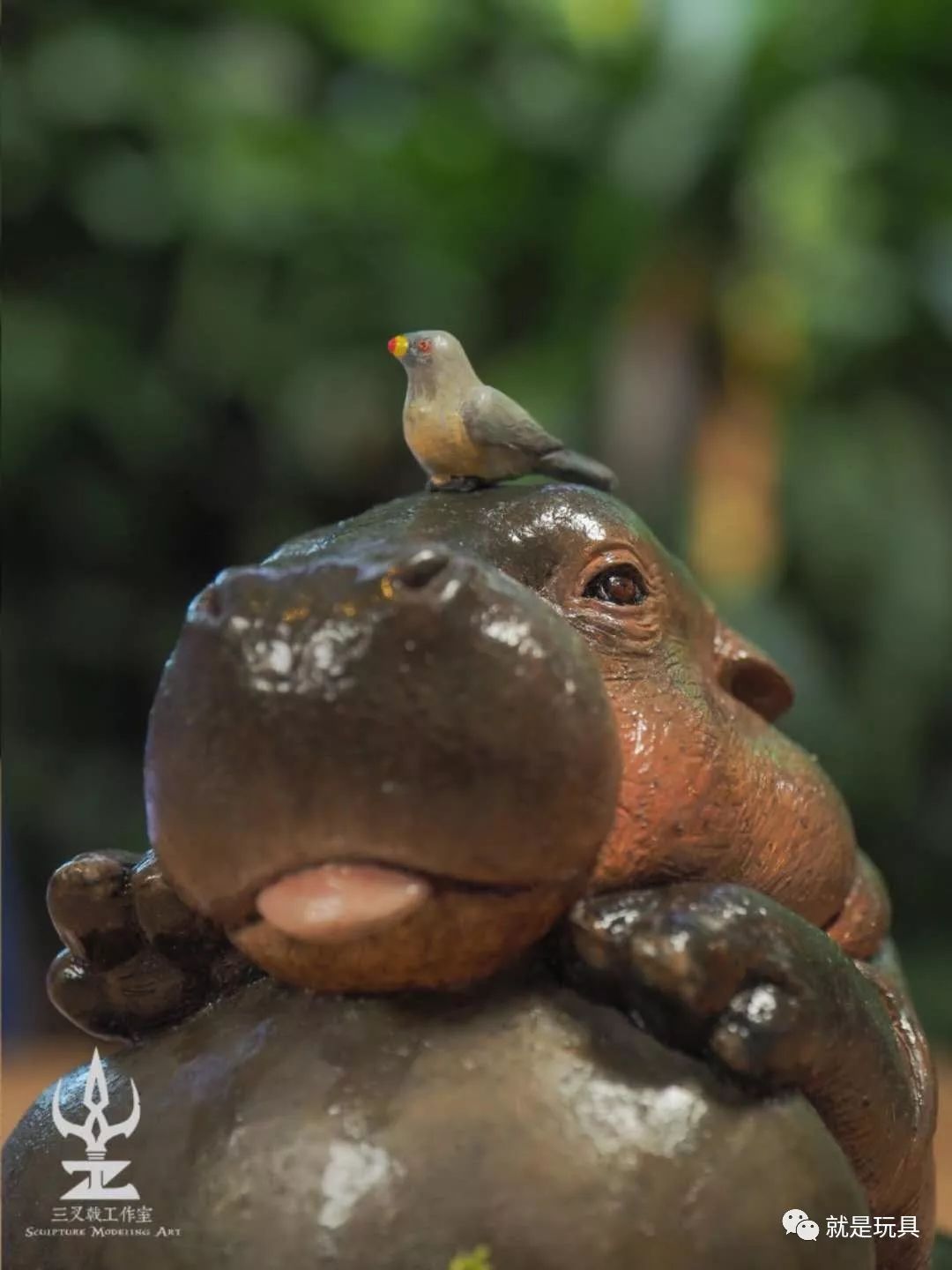 这只网红河马比你家喵星人都可爱!