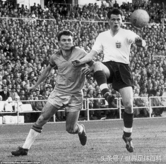 世界杯往事2002,世界杯足球往事