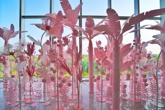 暑期去山东龙口,拍ins风网红大片,看没有游客蔚蓝大海!