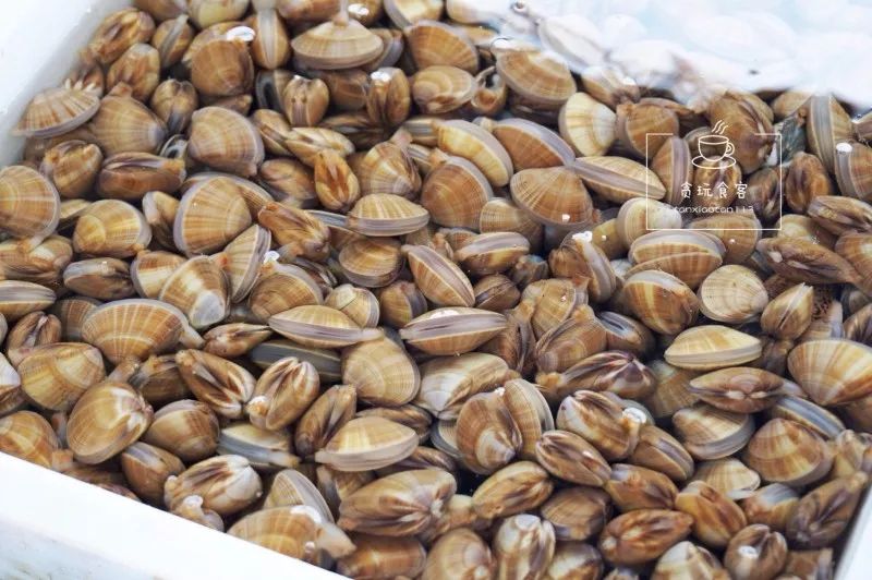 烟台山网红打卡地最值得看的,龙口打卡景点