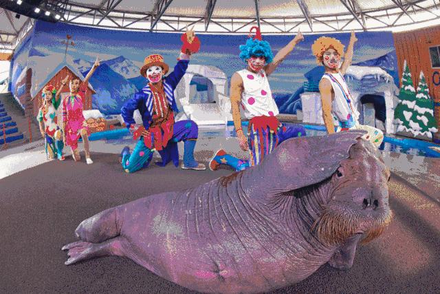 上海利好最新消息,上海基建最新利好