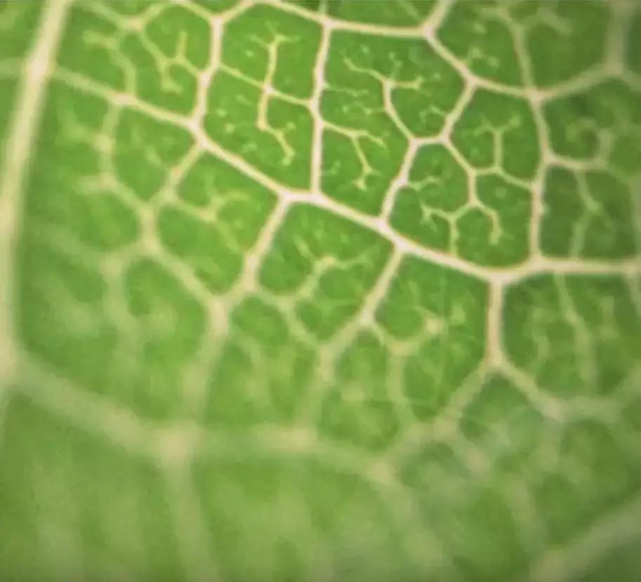 如何用手机拍出艺术照的效果,作为摄影师拍艺术照用什么相机