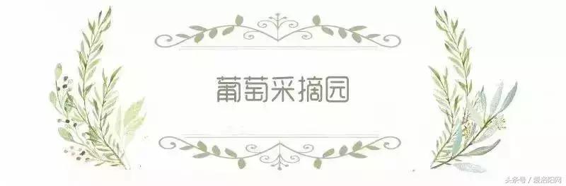 嵩县这条鲜为人知的绝美路线，隐秘在山林间，高速免费不容错过！