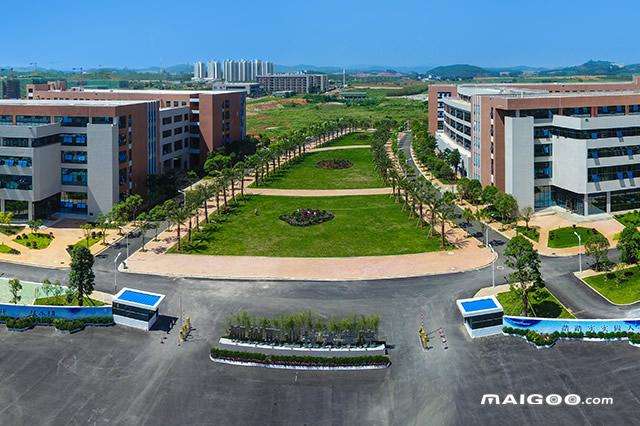 广西专科院校前十排名,广西专科院校前十名排名