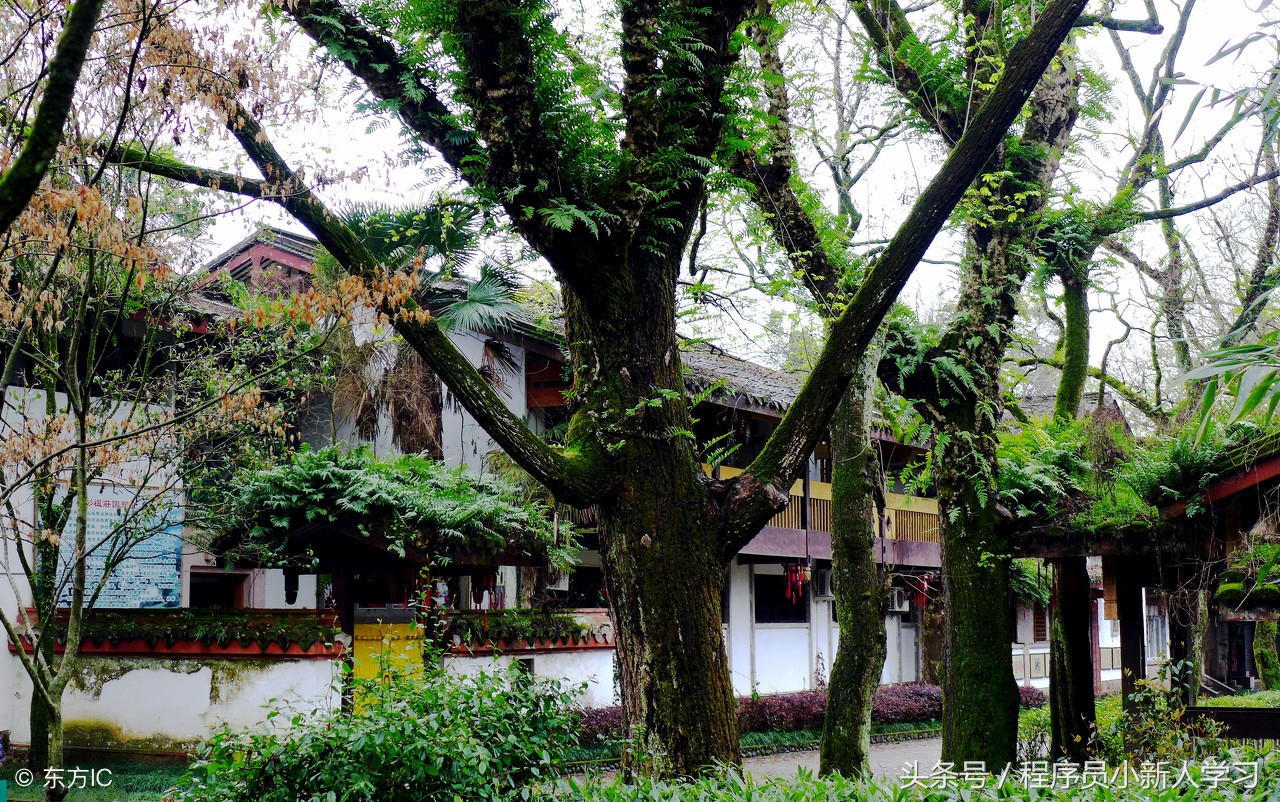 璋锋瓕娴忚鍣╢lags鍔熻兘璇﹁В,璋锋瓕flags