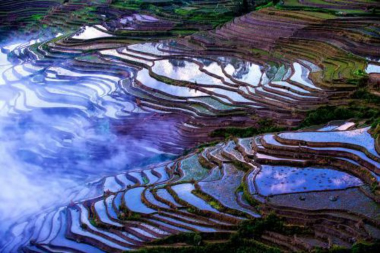 想避暑就来苍山顶,要想避暑就来西塘古镇