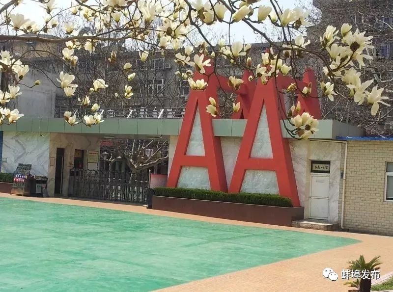 蚌埠一实校汇金校区怎么样,蚌埠一实小分校淮上区