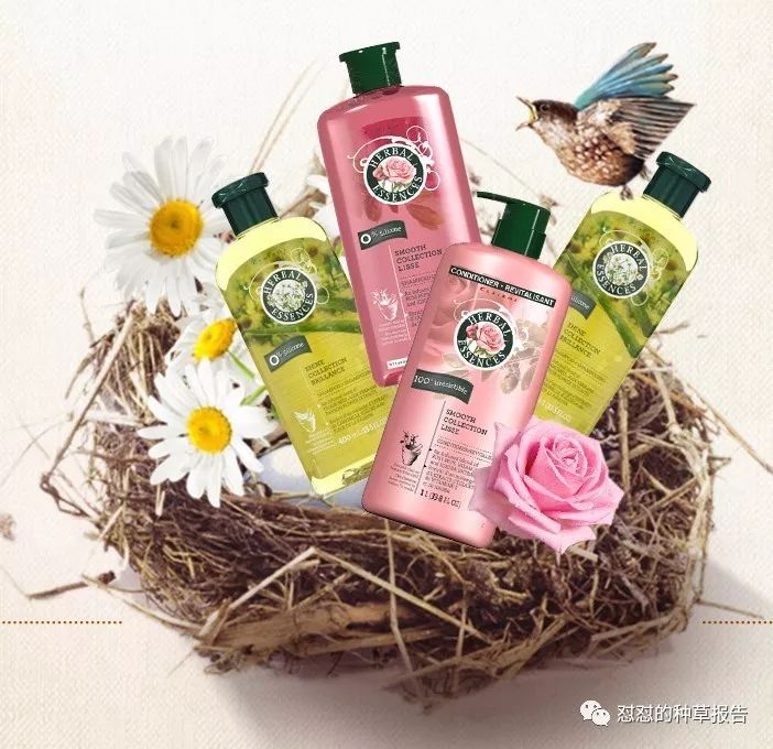 笑skr人了是什么梗,笑skr人