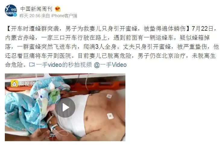 暑期出游注意！被蜜蜂蛰后，一死一生！这样做能救人一命！