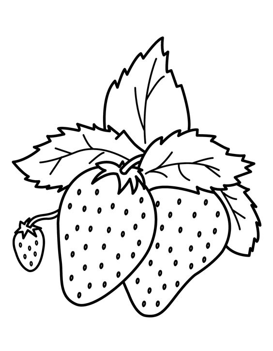 水果蔬菜简笔画合集可打印涂色,各种水果蔬菜的画法简笔画