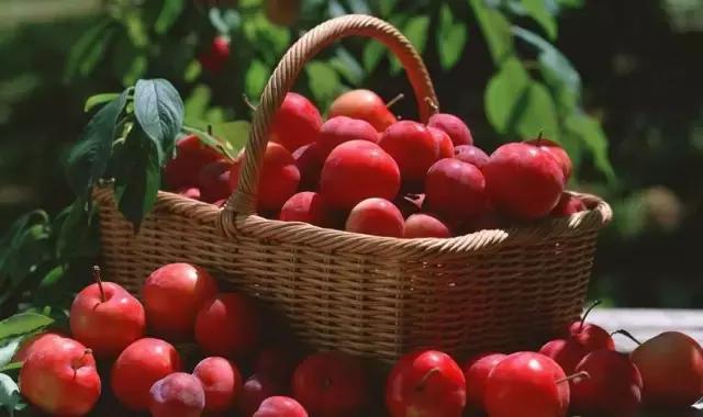 什么样的水果能让你减肥,成功减肥70斤吃什么水果