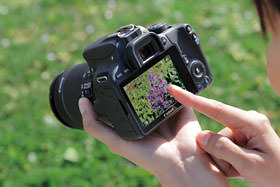 如何调整佳能单反相机参数设置,佳能单反相机基本使用教程