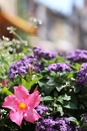 单反相机新手零基础教学佳能相机,佳能数码相机摄影技巧大全