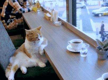 探歌suv和其他suv对比,全新探歌在suv领域大放异彩