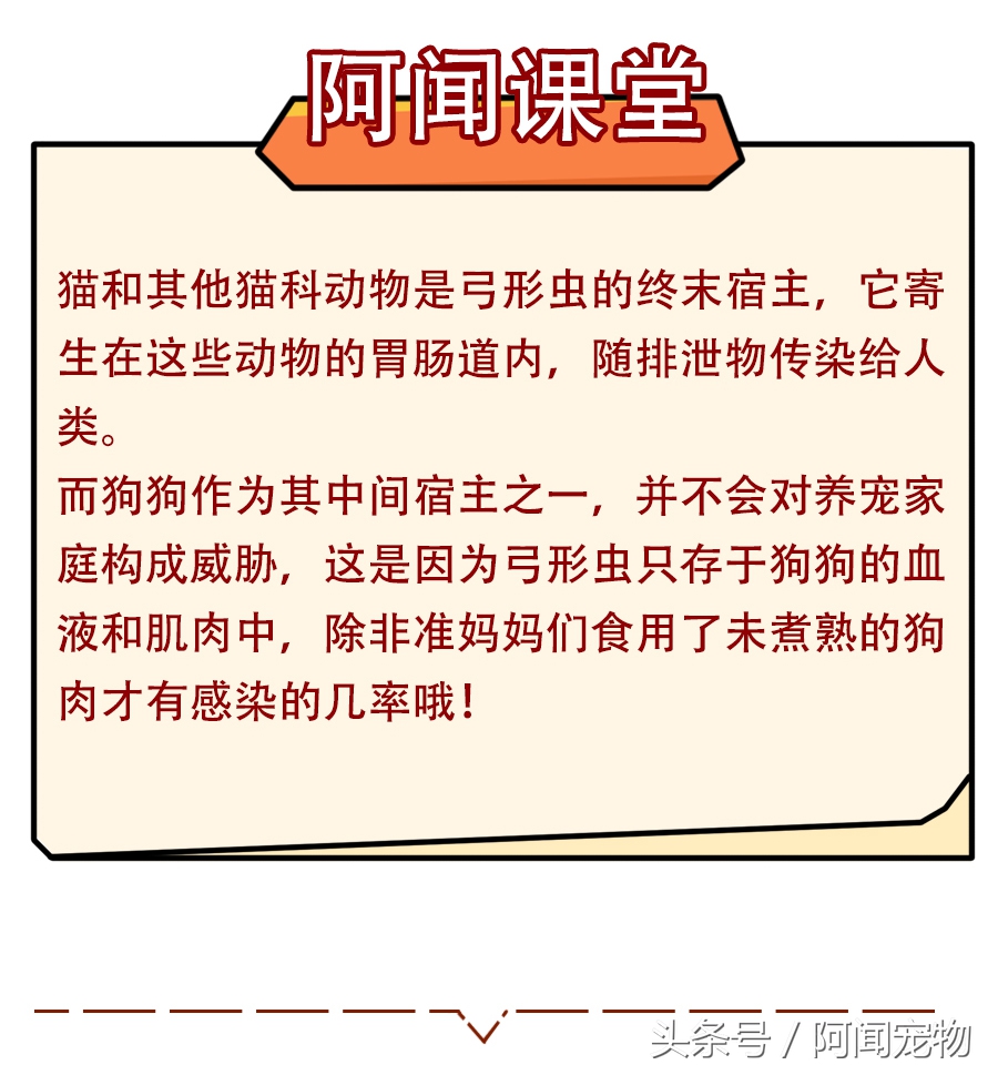 没养过猫狗的孕妇会感染弓形虫吗,孕期需要给猫狗做几次弓形虫检查
