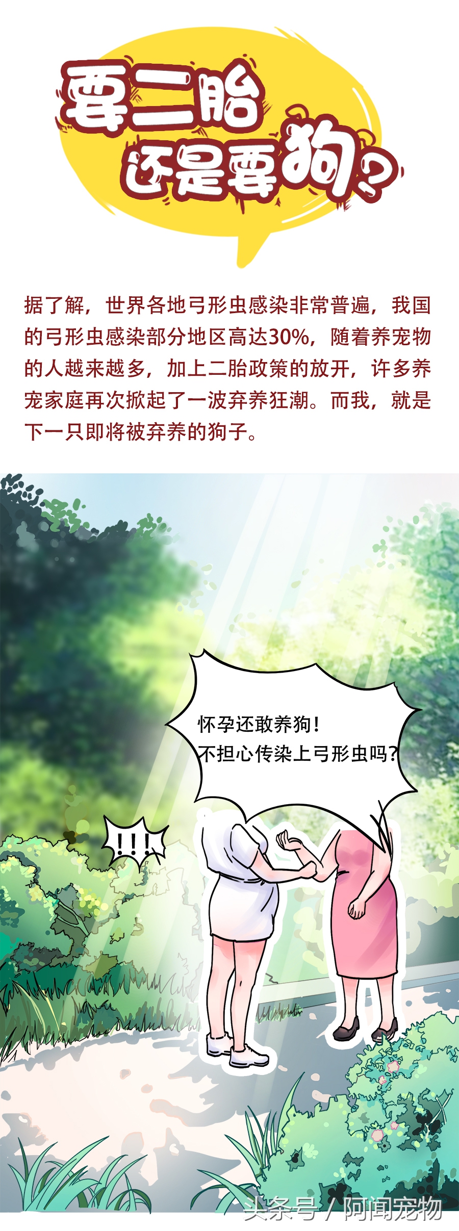 没养过猫狗的孕妇会感染弓形虫吗,孕期需要给猫狗做几次弓形虫检查