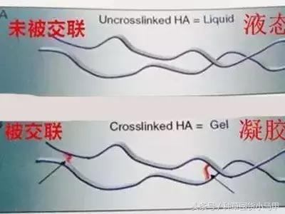 整形医生黑幕完整版,整形黑幕