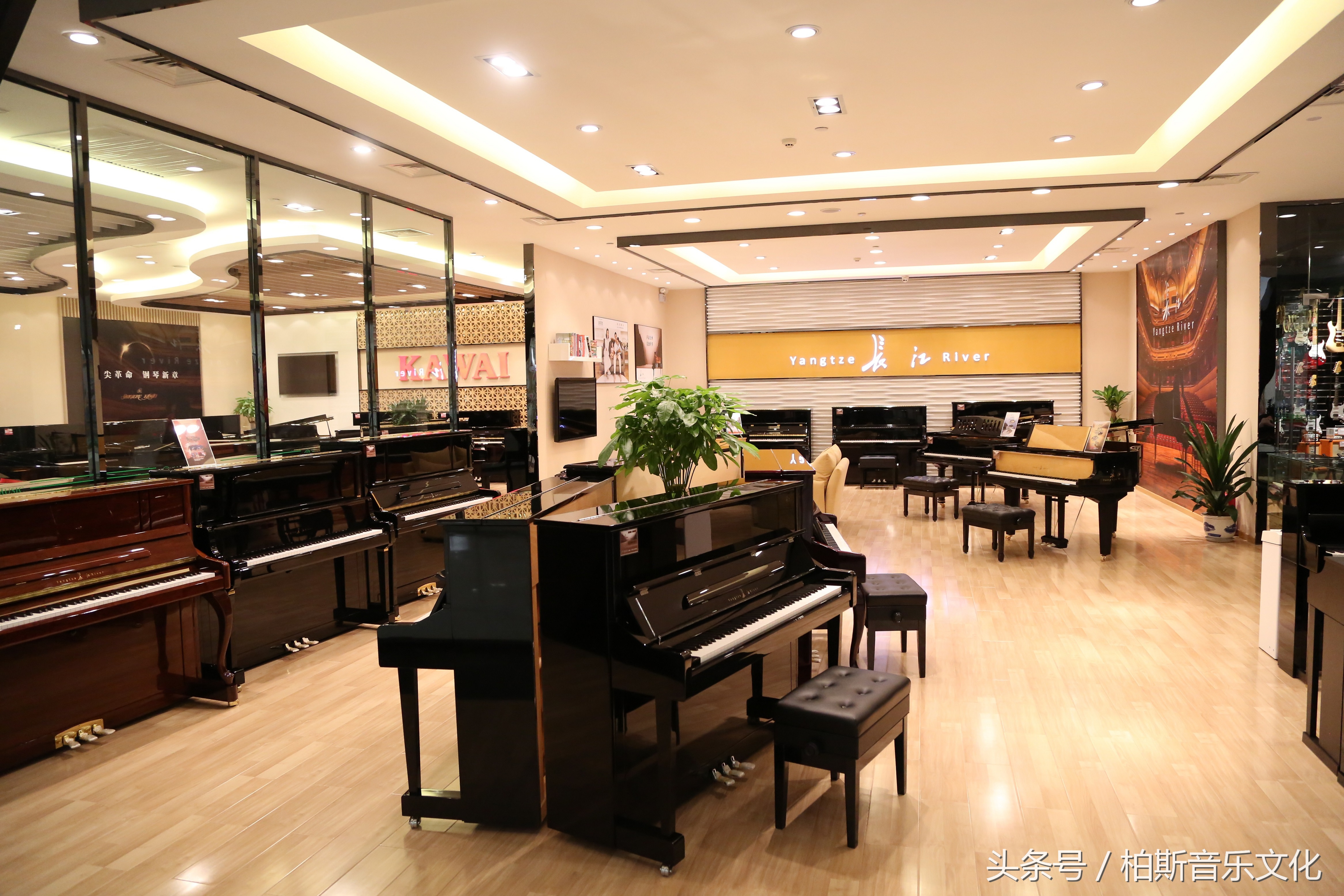 柏斯琴行卖乐器么,柏斯琴行有什么乐器