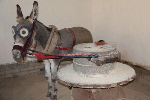 活法稻盛和夫智慧的宝库读后感,从努力的角度解读稻盛和夫哲学