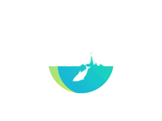 小萌新们入学攻略,江南大学国际本科入学条件