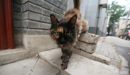 手里有70-200再配什么镜头,手里有24-70加个什么镜头合适