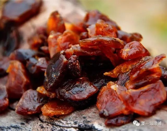 漳浦必去景点,漳浦最出名的地方