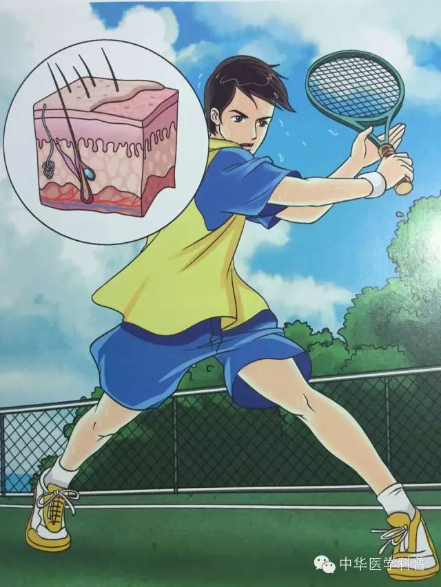 中暑常识100例,宠物中暑的急救常识