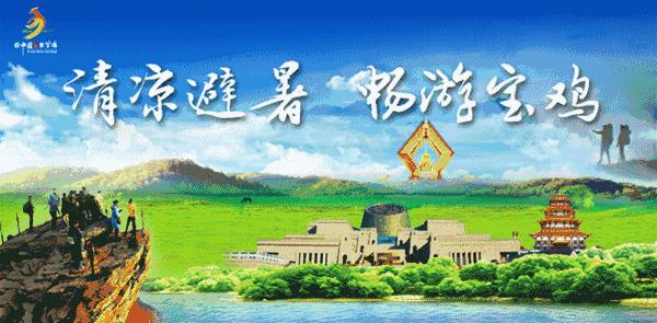 人从众的模式,人从众