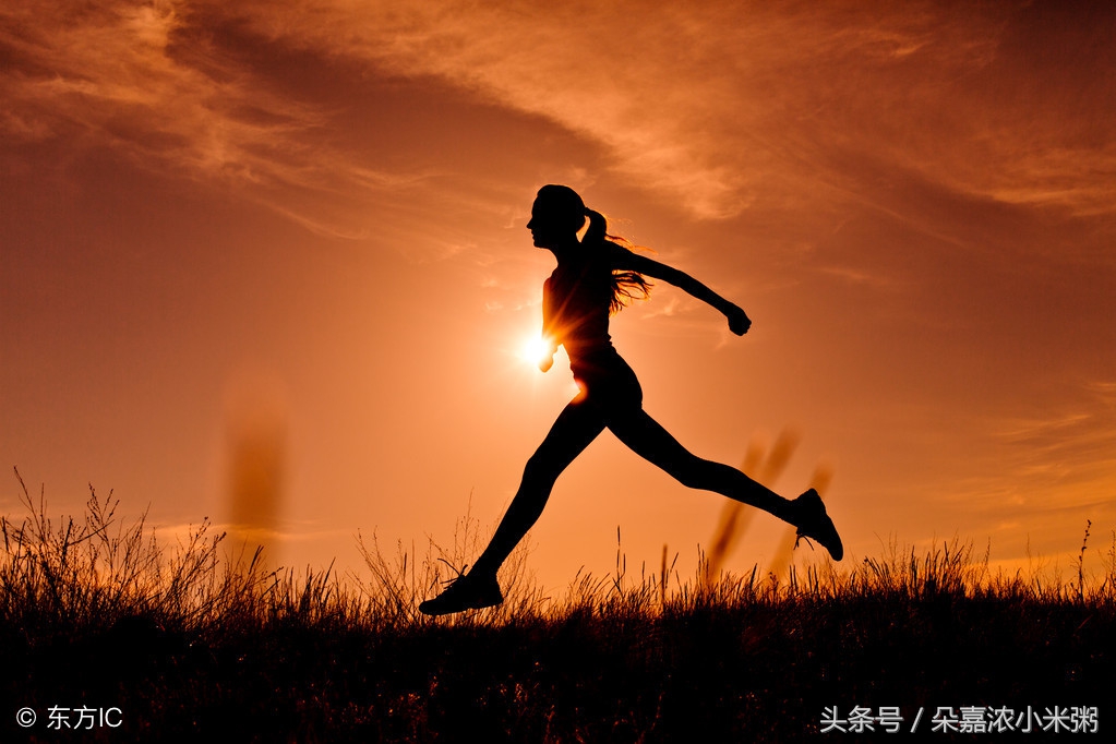 朵嘉浓小米粥,朵嘉浓好吗