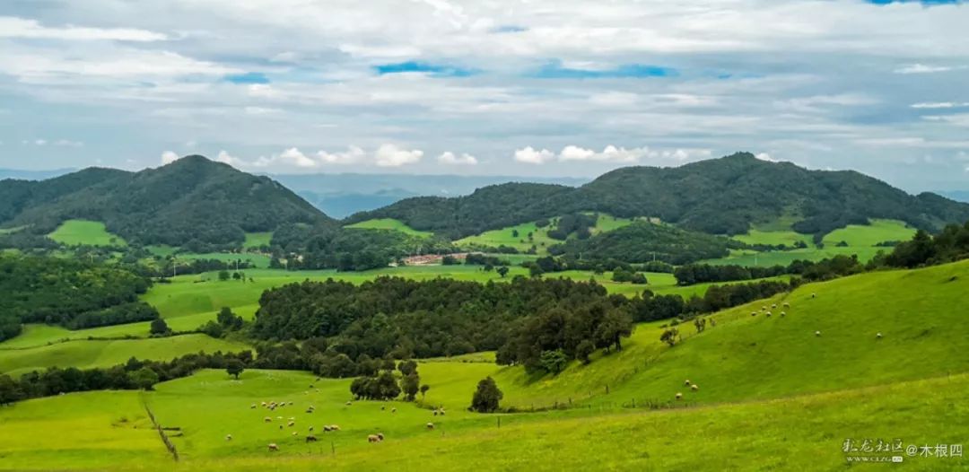 寻甸凤龙青青草原,寻甸凤龙山草原