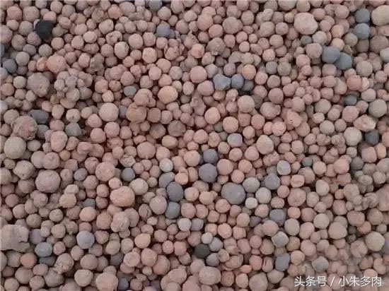 多肉颗粒土直播,多肉颗粒土批发