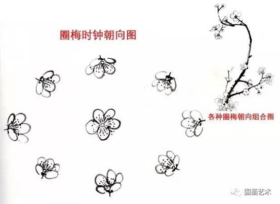 转画教学,中国画零基础入门画梅花