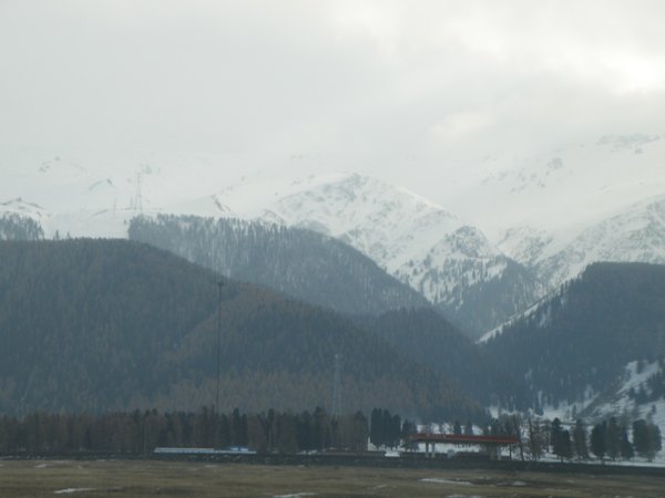 *疆新**（六）——梦牵大西北13