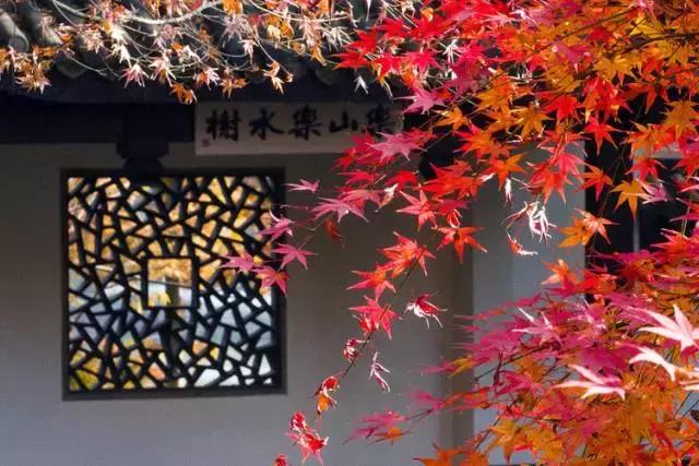 林语堂悠闲生活小院,林语堂闲适的生活