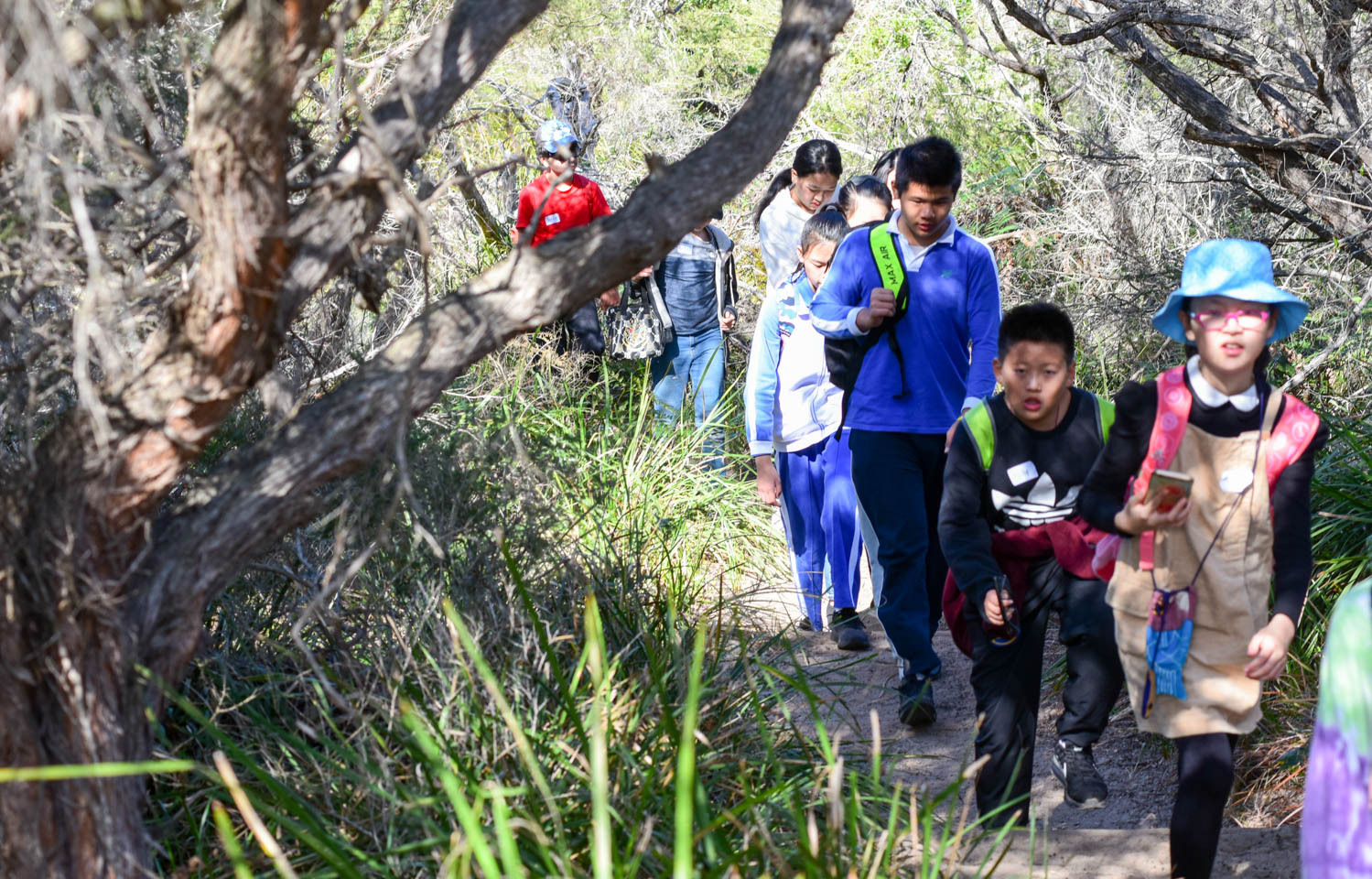 悉尼皇家国家公园图片,悉尼海港国家公园