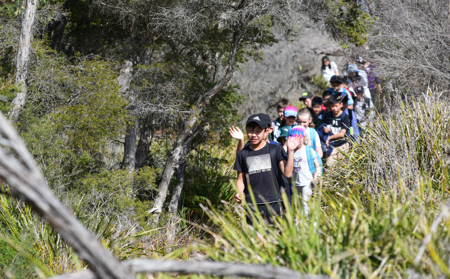 悉尼皇家国家公园图片,悉尼海港国家公园