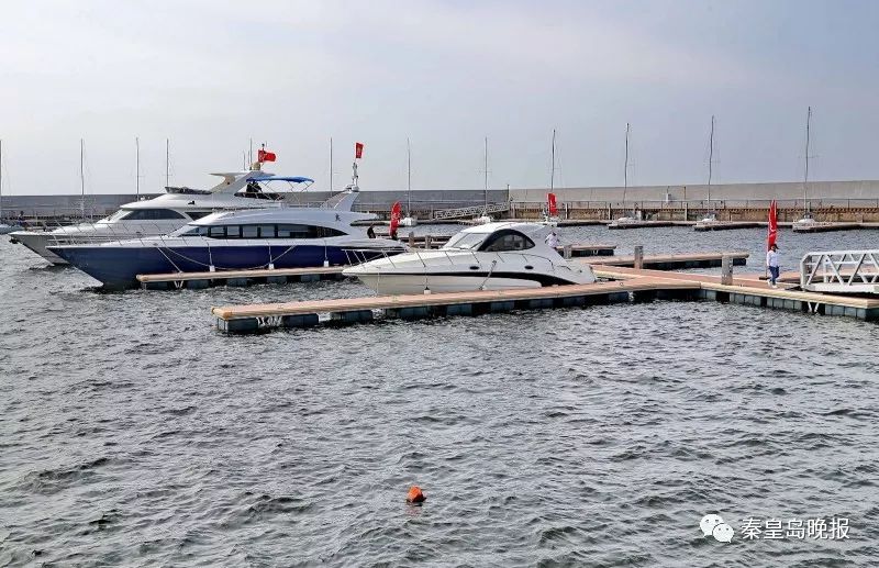 秦皇岛西港花园介绍,秦皇岛西港花园的花