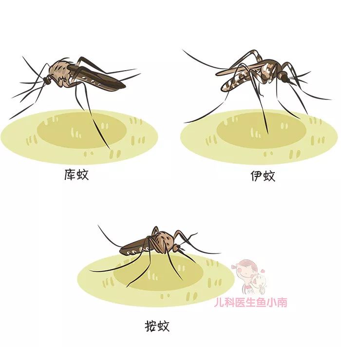 夏天宝宝外出怎么防蚊？医生：最简单最管用的办法就是这6个