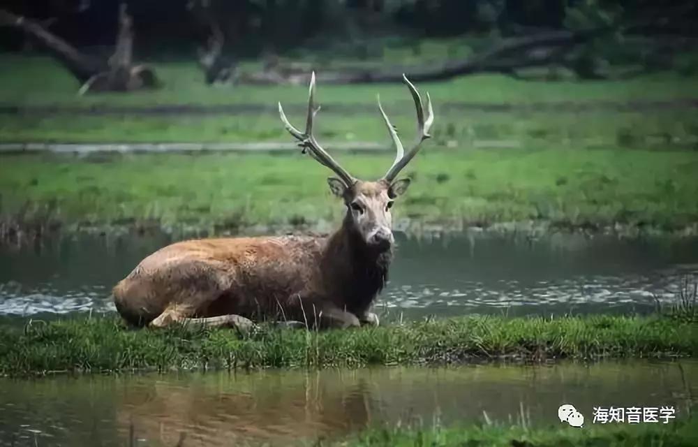 醉美中国——江苏