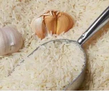 粮食生虫还能吃吗,谷物类生虫还能要吗