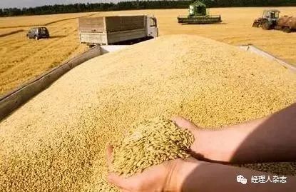 垄断全球粮食的四大粮商,四大粮食巨头与中国较量