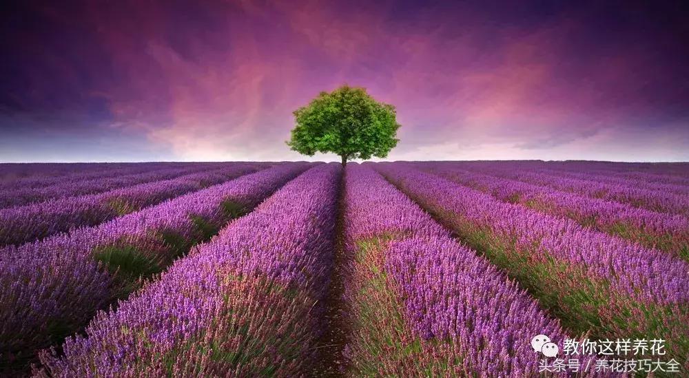 入睡困难也容易醒吃什么助眠药,入睡困难惊醒吃什么助睡眠的药好